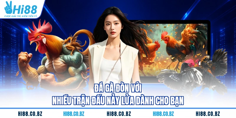Đá gà đòn với nhiều trận đấu nảy lửa dành cho bạn