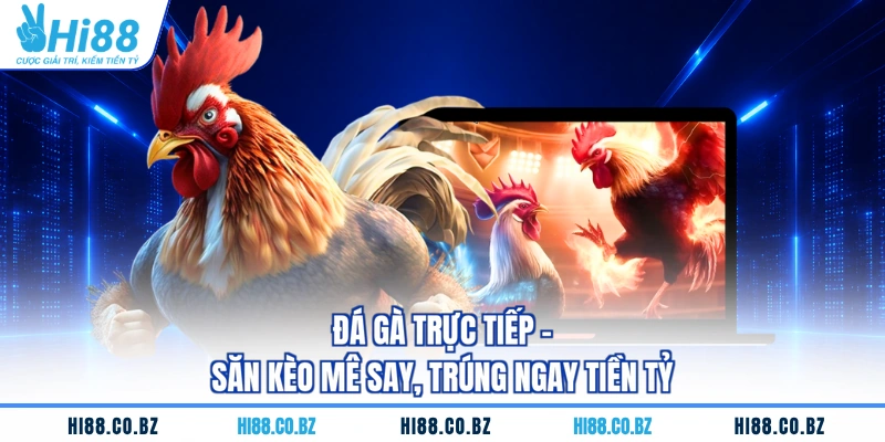 Đá Gà Trực Tiếp - Săn Kèo Mê Say, Trúng Ngay Tiền Tỷ