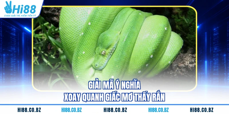 Giải mã ý nghĩa xoay quanh giấc mơ thấy rắn