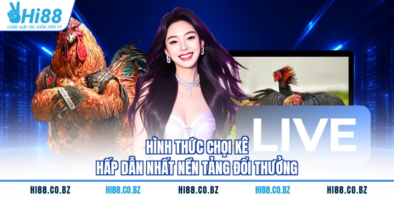 Hình thức chọi kê hấp dẫn nhất nền tảng đổi thưởng